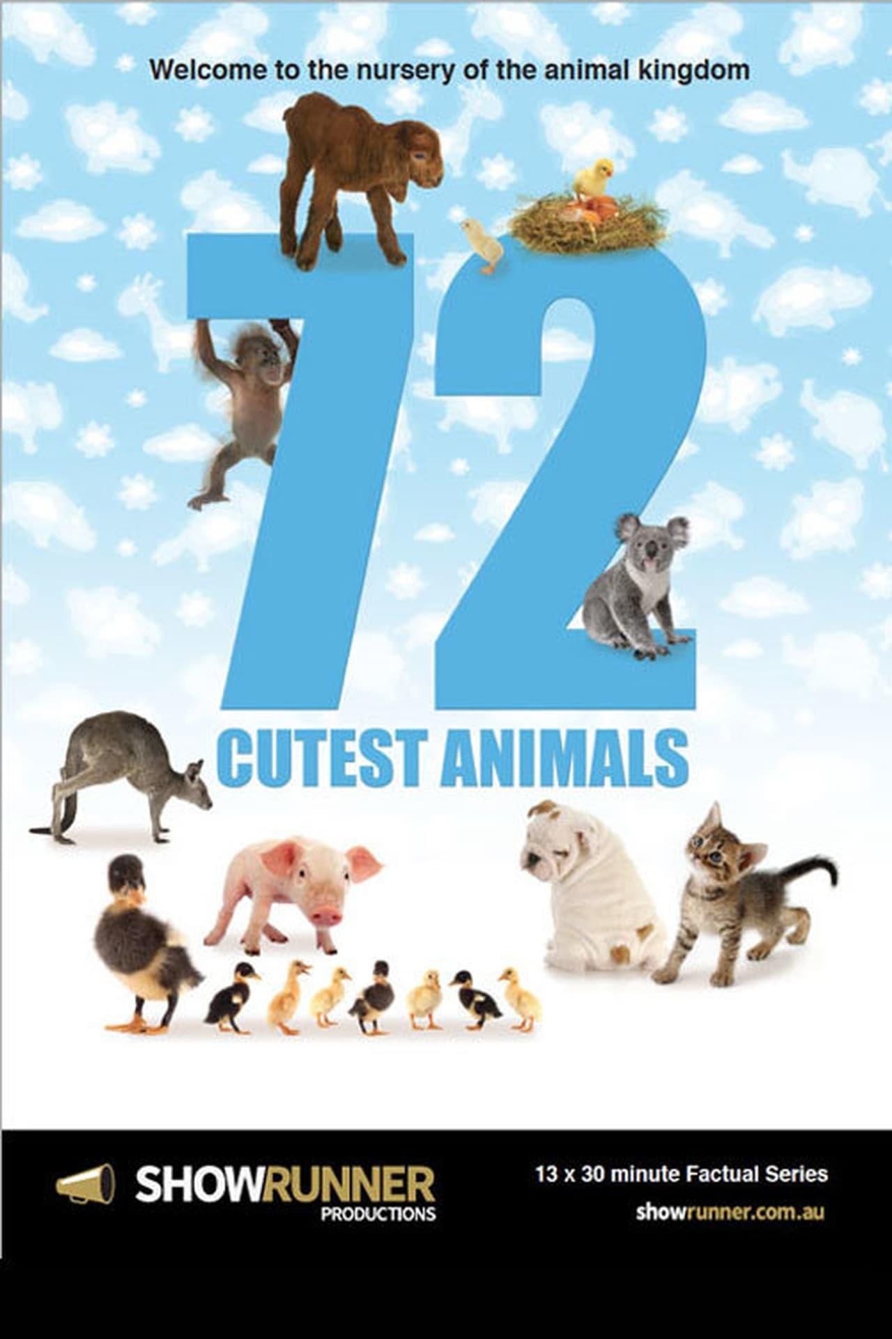 72 Cutest Animals | awwrated | 你的 Netflix 避雷好幫手!