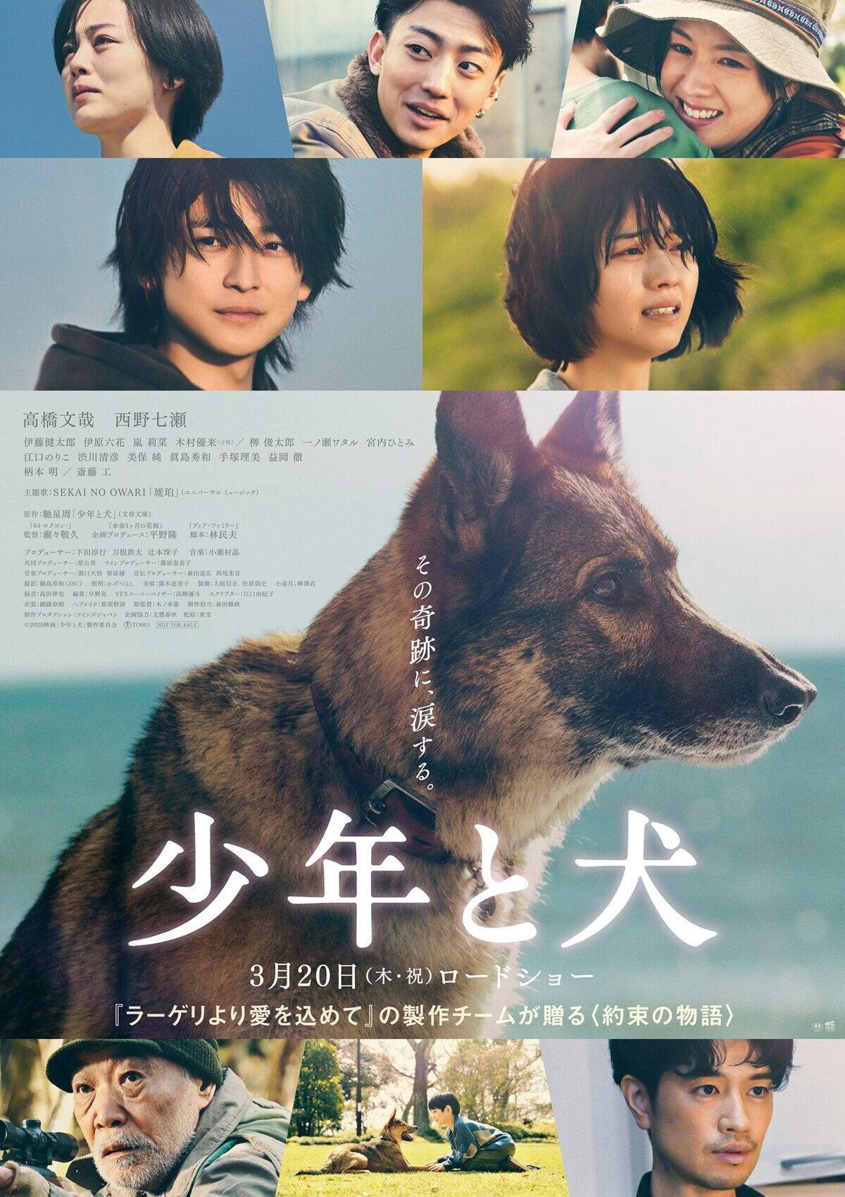 The Boy and the Dog | awwrated | 你的 Netflix 避雷好幫手!