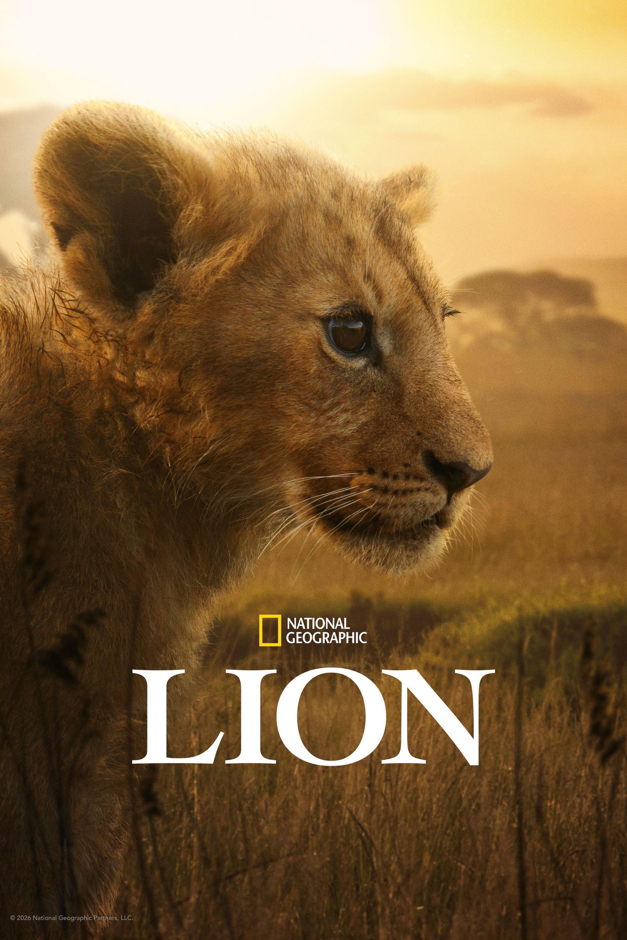 Lion | awwrated | 你的 Netflix 避雷好幫手!