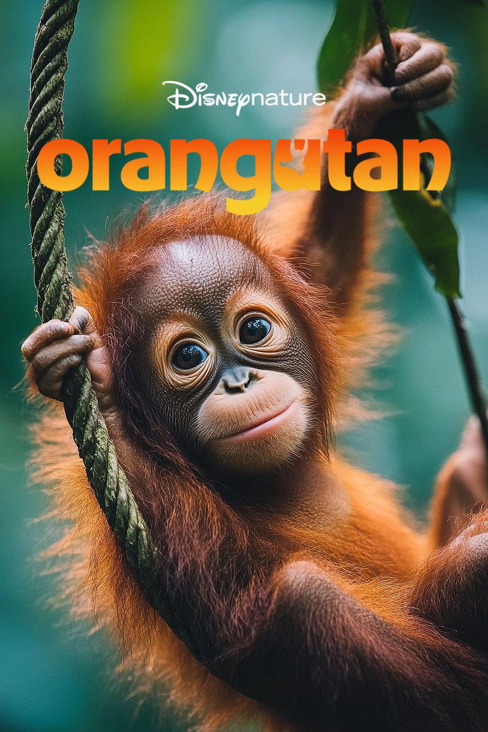 Orangutan | awwrated | 你的 Netflix 避雷好幫手!
