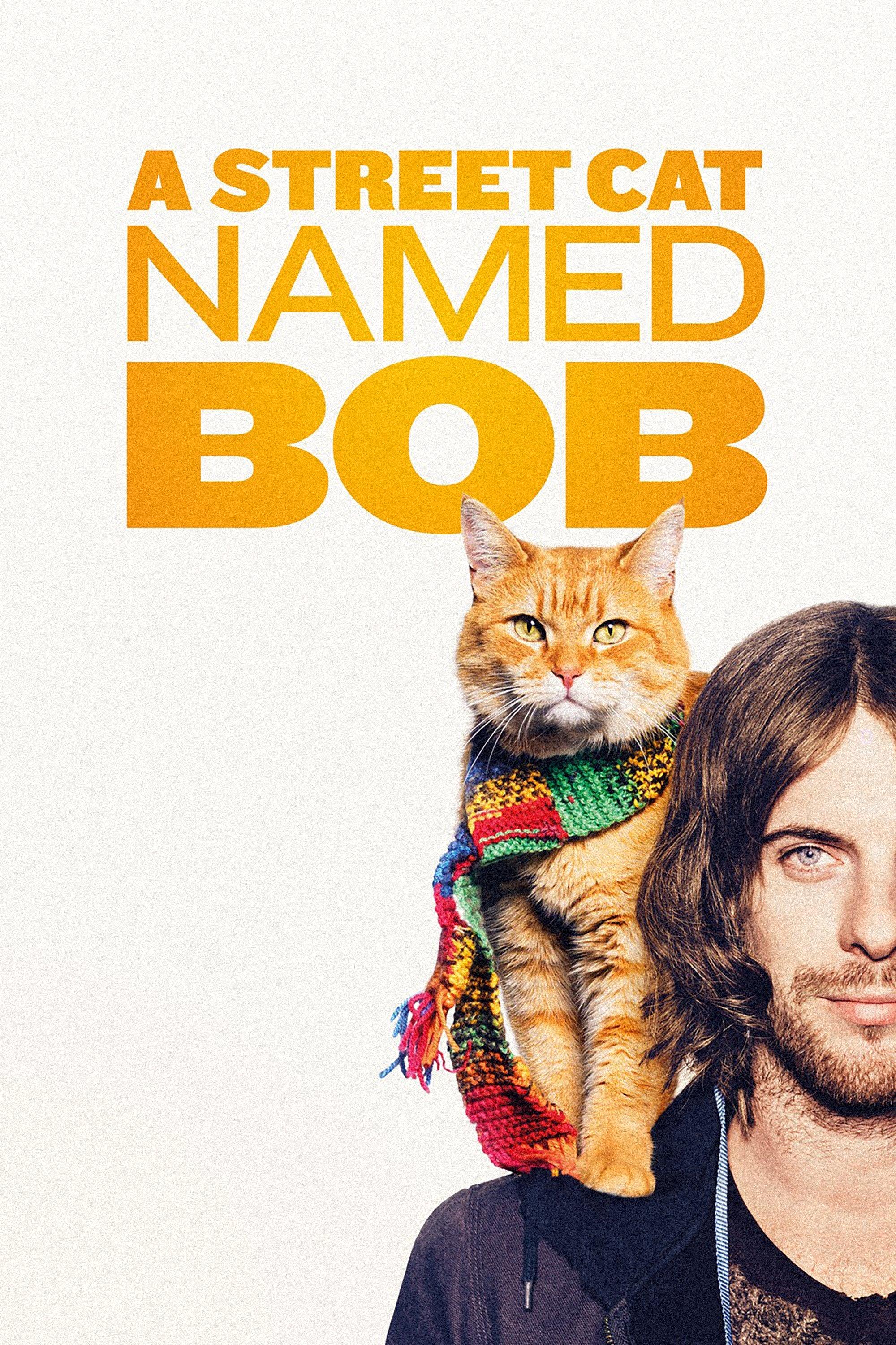A Street Cat Named Bob | awwrated | 你的 Netflix 避雷好幫手!