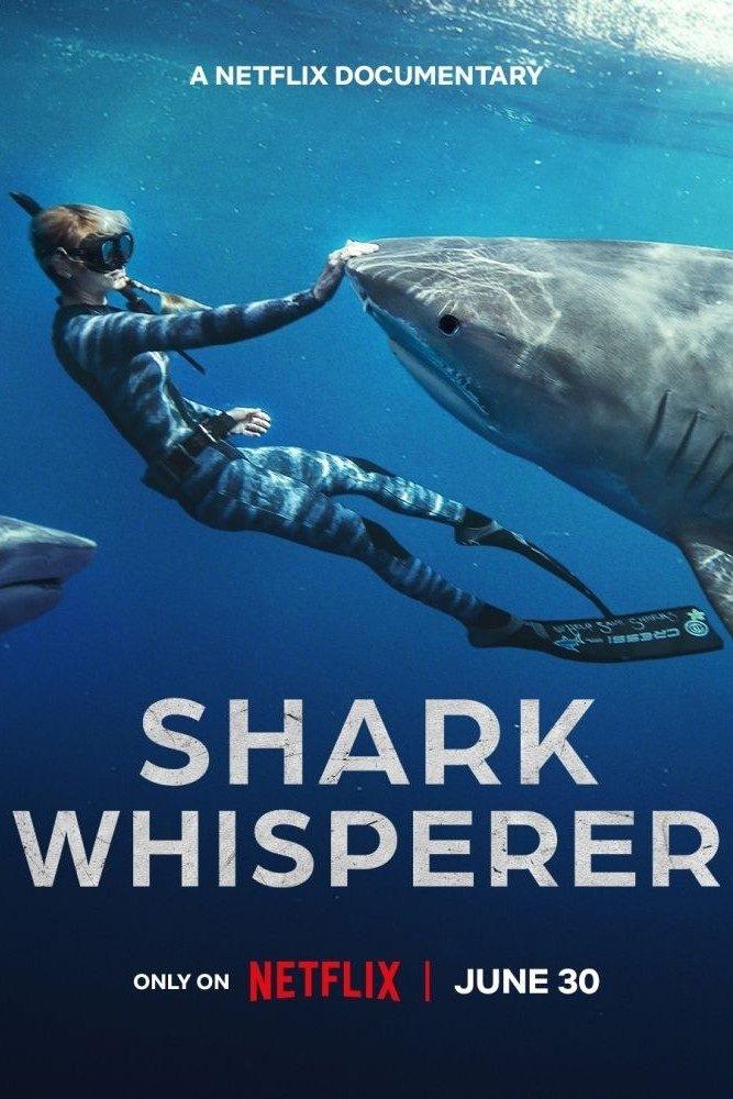鯊魚低語者 | awwrated | 你的 Netflix 避雷好幫手!