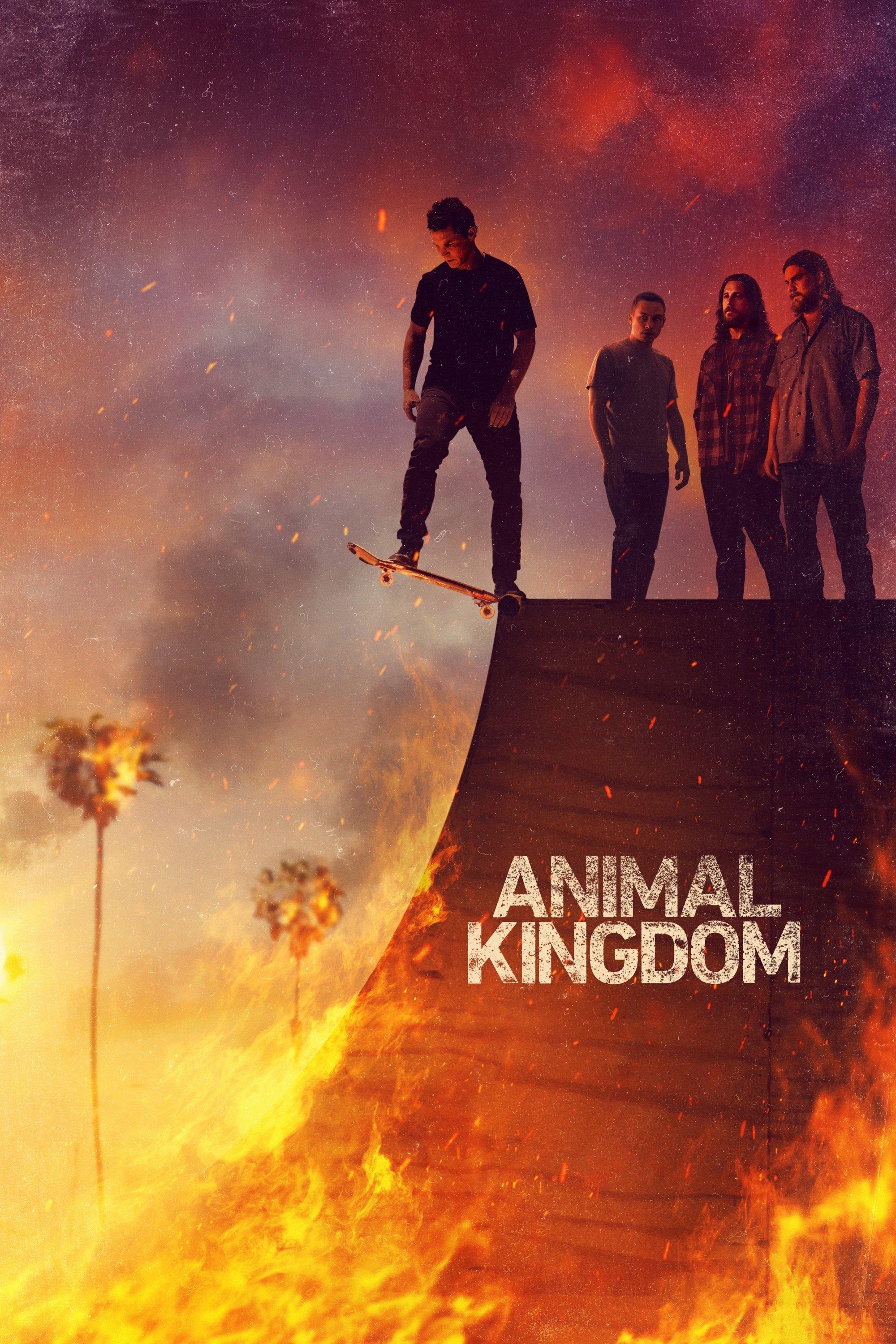 Animal Kingdom | awwrated | 你的 Netflix 避雷好幫手!