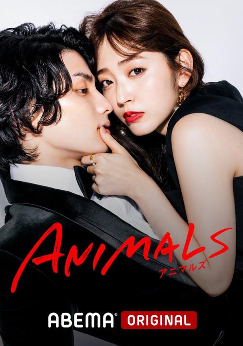 动物 | awwrated | 你的 Netflix 避雷好幫手!