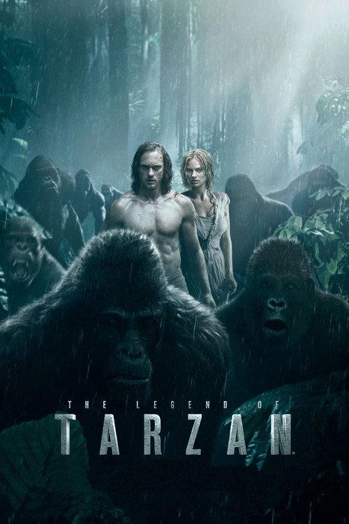 ターザン：REBORN | awwrated | 你的 Netflix 避雷好幫手!