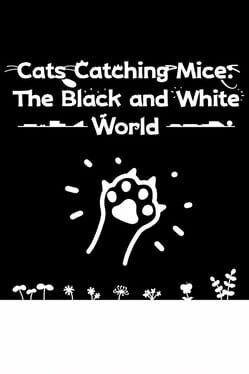 猫抓老鼠:黑白世界