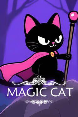 魔法の猫