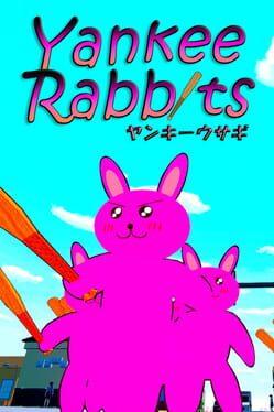 暴走兔子