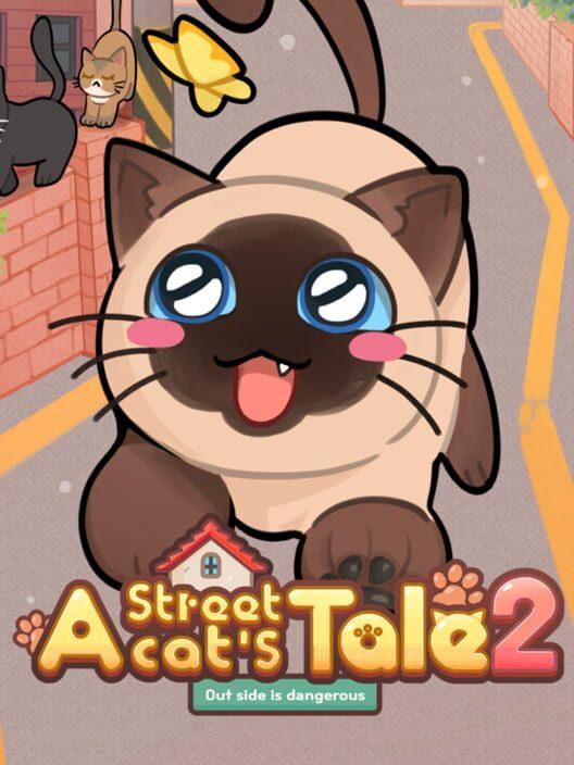 流浪猫的故事2：外面不安全